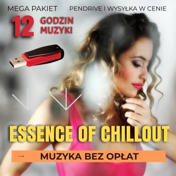 Essence of chillout 12 godzin mp3 muzyka bez opłat PENDRIVE